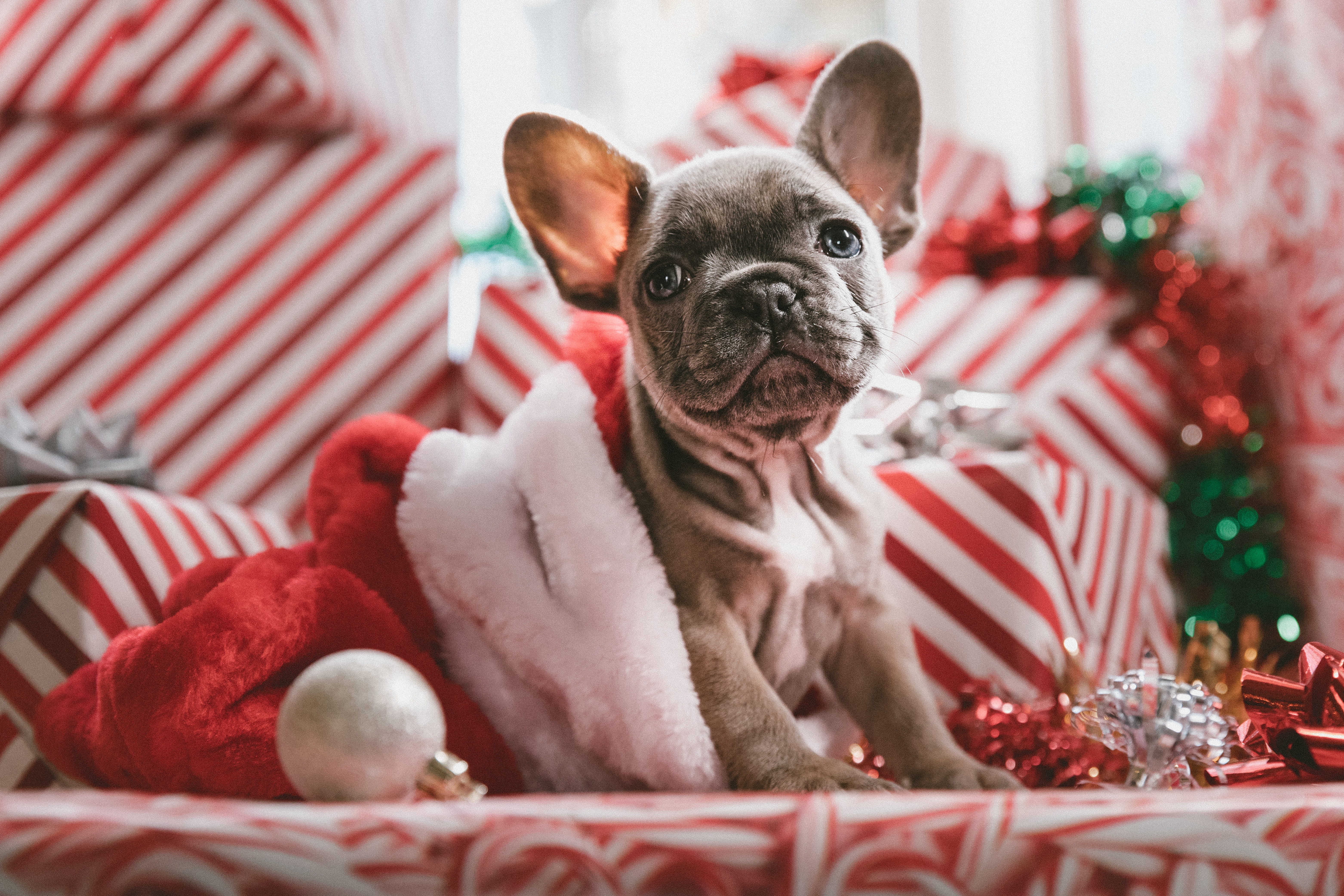 01f5da5e1af7cb63efc8 jakob owens 484963 unsplash