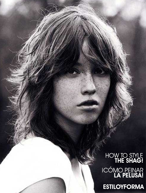 08498bf3911bd174f881 shag haircut estilo