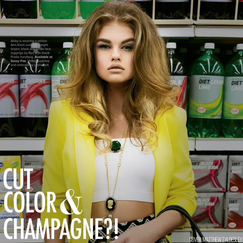 1e57b509f796b991de1e liquor law salon