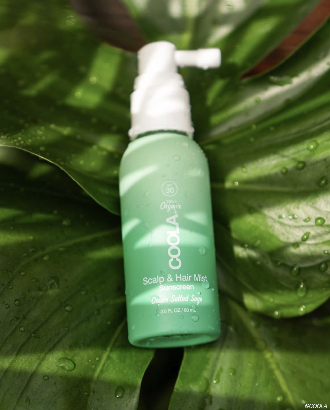 220f27ed0672c2fa9160 scalp sunscreen