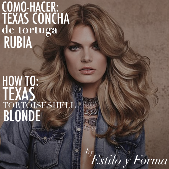 22168f0ad93b24b36992 estilo  texas tortoiseshelle