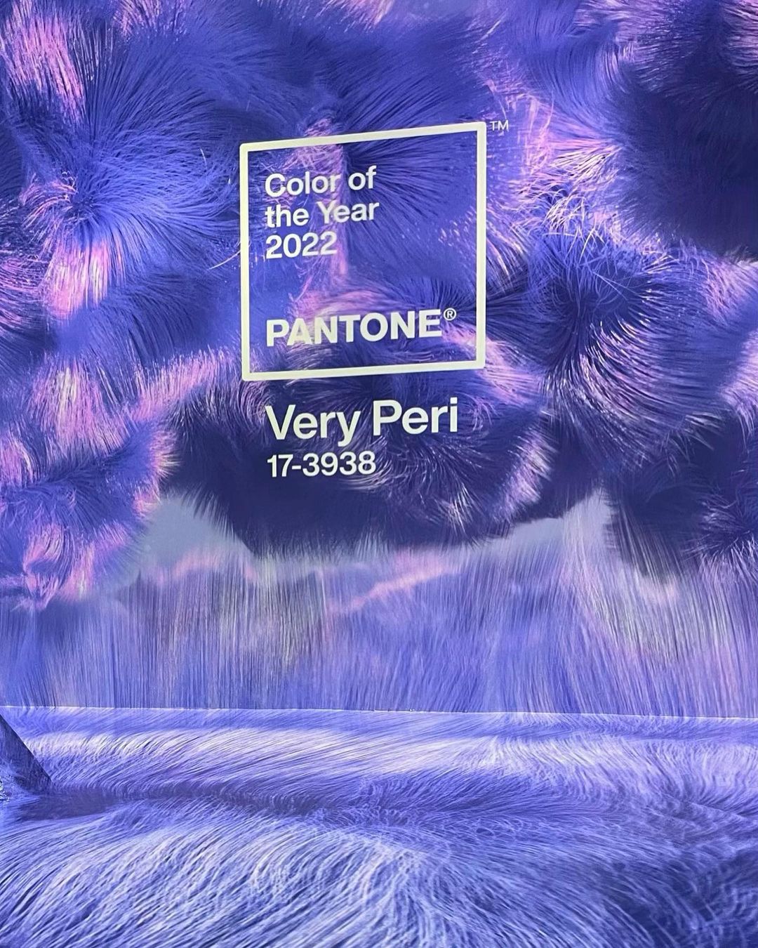 31af6174457d3634d326 265909186 984011832236832 1254291573825913669 n
