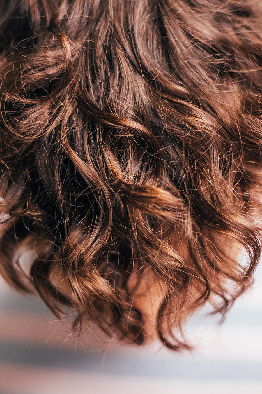 40dcd9c363734919d2fe paul siewert dnpa8k6tgre unsplash