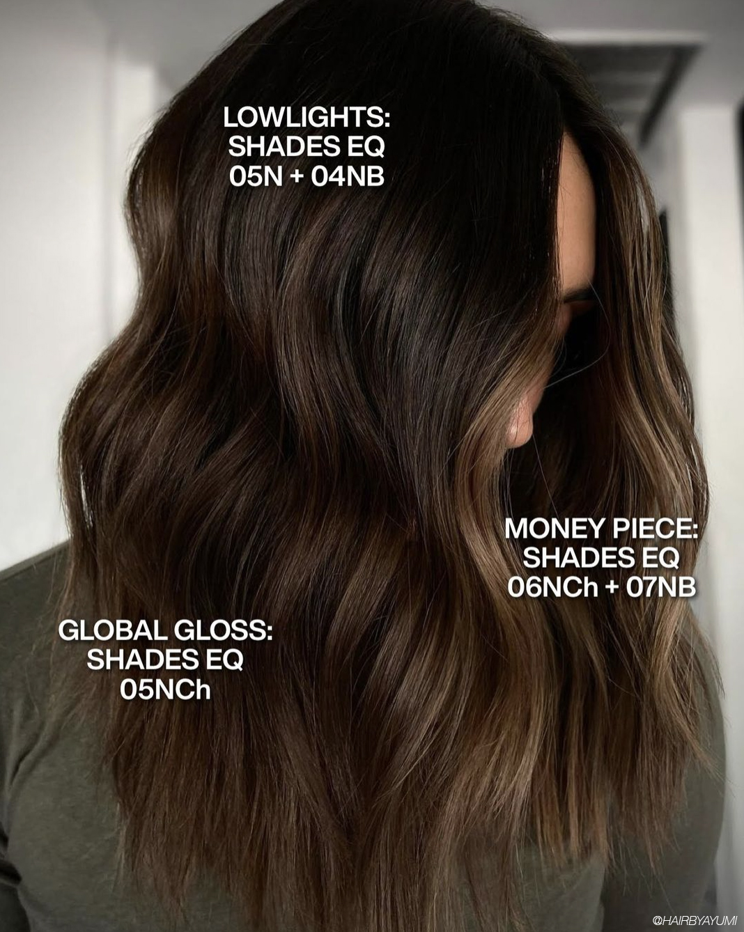 4381defea1ef6f655ed4 shades