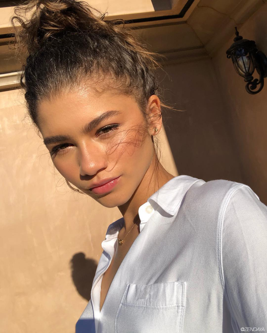 4ca26460528bd2e834b2 zendaya