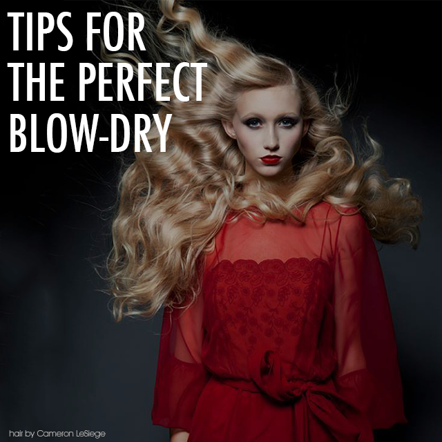 50a7402da3acda2b62c7 blowdry