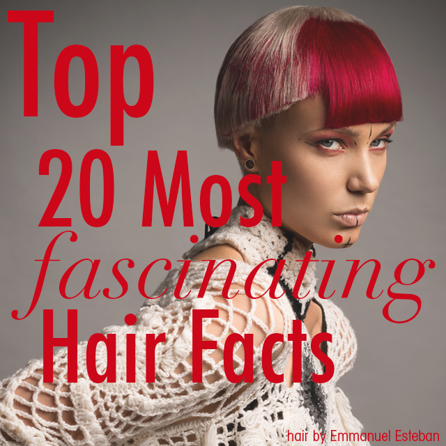 578441e667d782ca0f9b top 20 hair facts