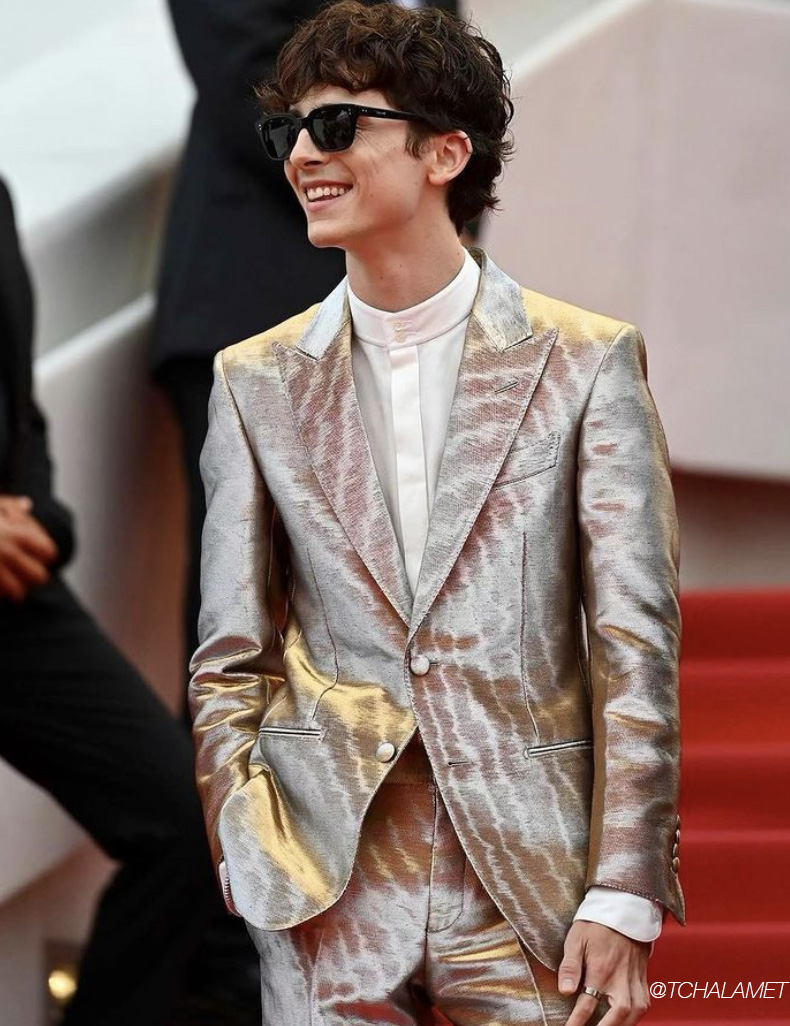 5feebe232116b95b1d43 timothee chalamet wings
