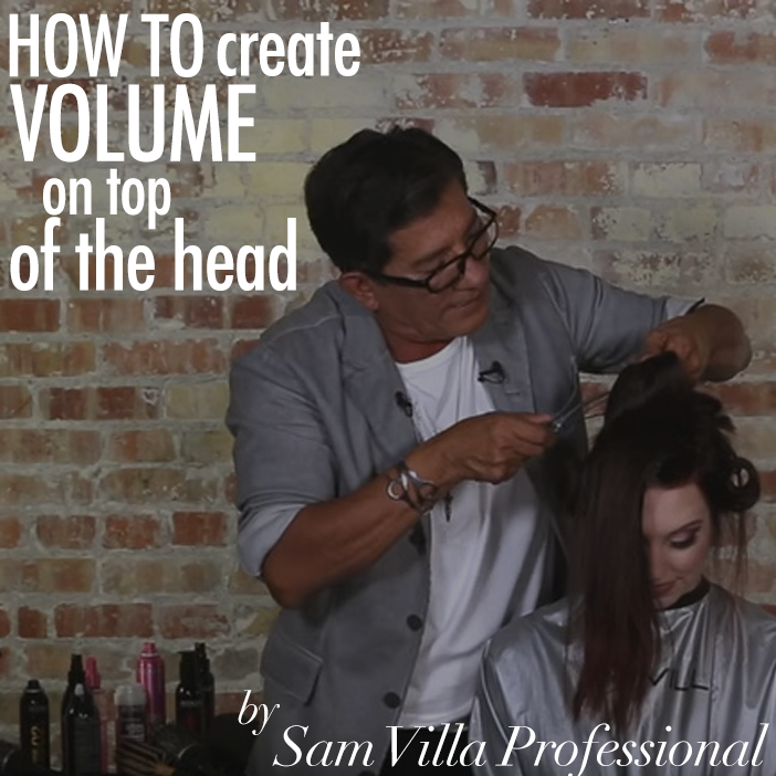 6e8703c25f3d86b8f3e6 sam villa  4 volume