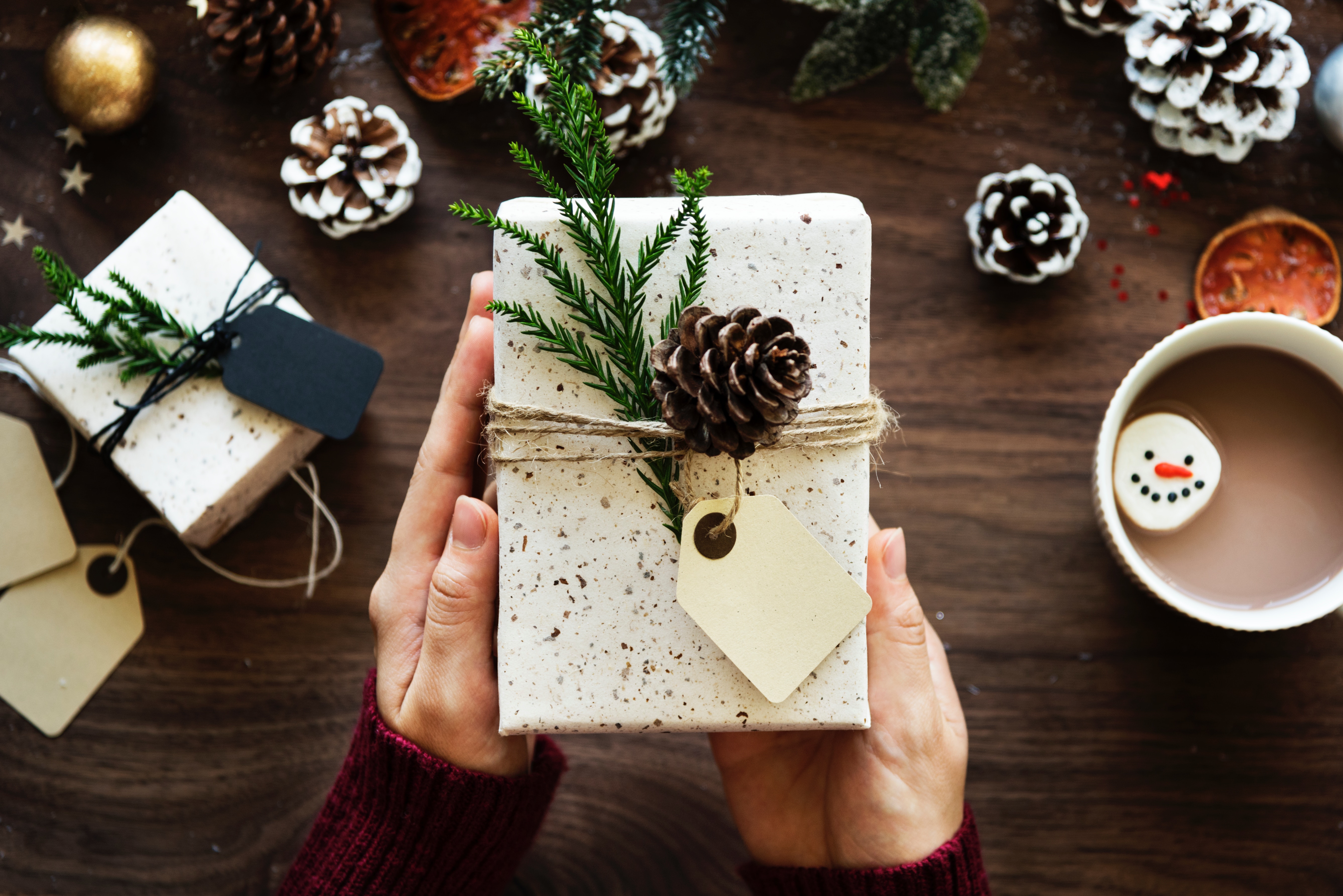 89fa456928da277c2f73 rawpixel 445788 unsplash  1 