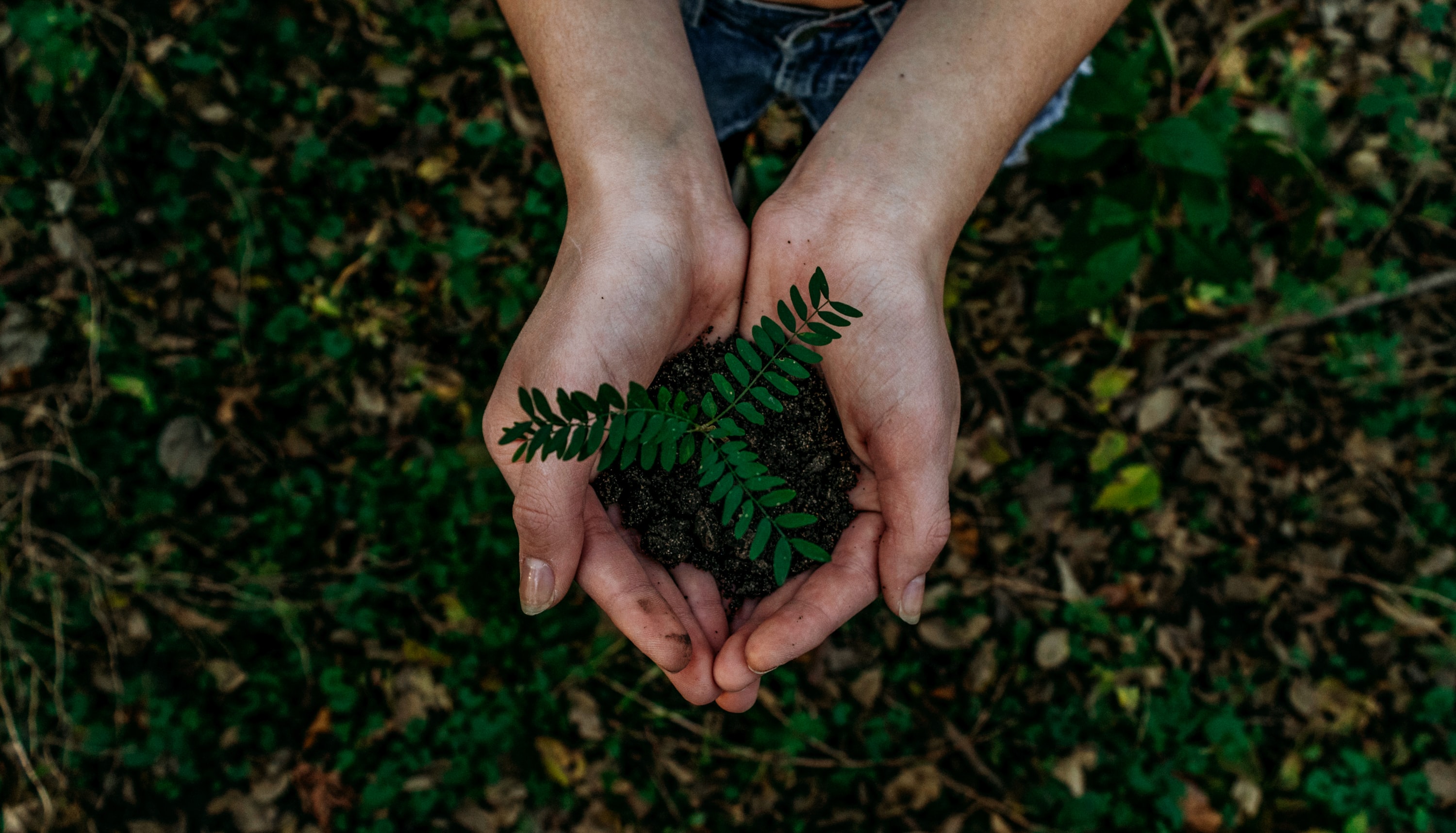 931d020db1ea63e5ea1c noah buscher x8zstuks2pm unsplash