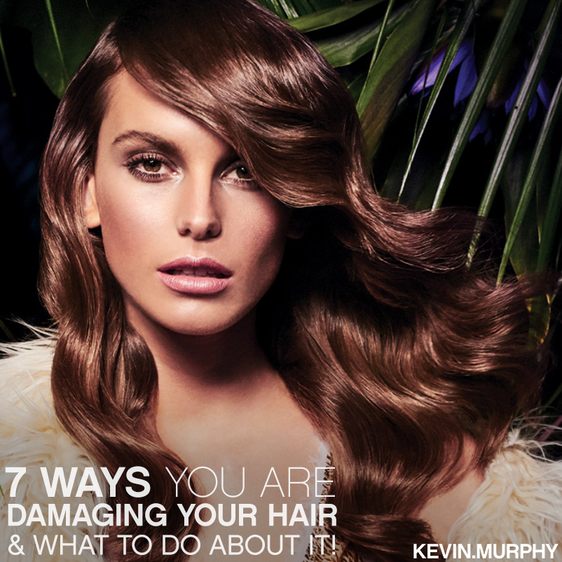 97a3a076fb39e753010d kevin murphy contest