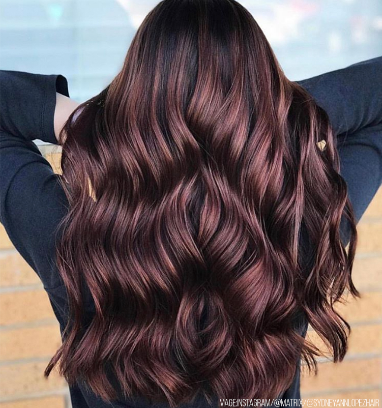 E198b90447613c4b173d brunette hair trends