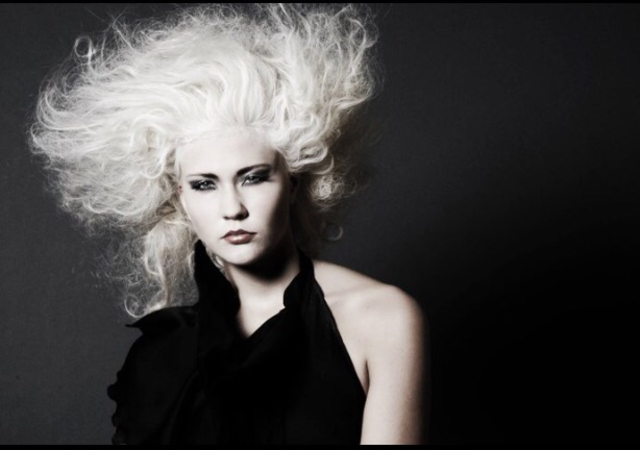 Blonde Ambition/Michelle Schlottman 