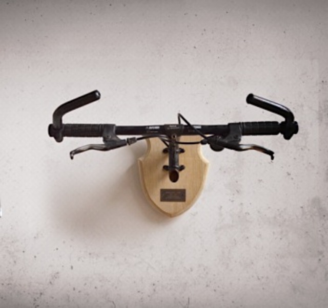 Bicycle Taxidermy