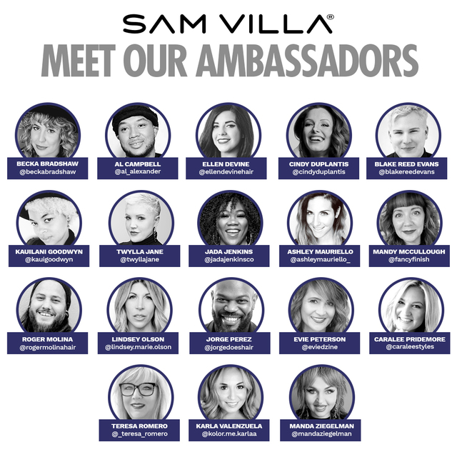 Re sized 027d432ce738e68f5611 sv 2021 01 ambassadors all