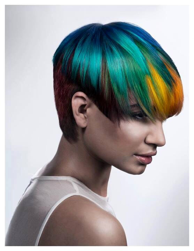 Cut/Color/Vision : Terry Graham Goldwell Colorzoom 2013 Semi-Finalist (New Talent) category "Beautify" Collection Photography: Anthony Grassetti Photography MUA: Heather Schofield  Colored/ Styled with GOLDWELL
