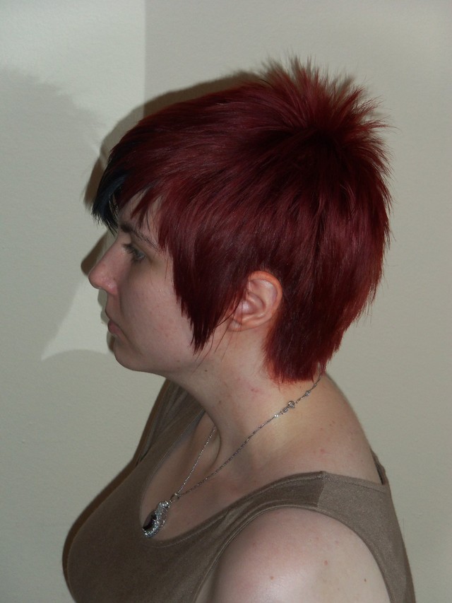Anime Hair/J-Rocker
