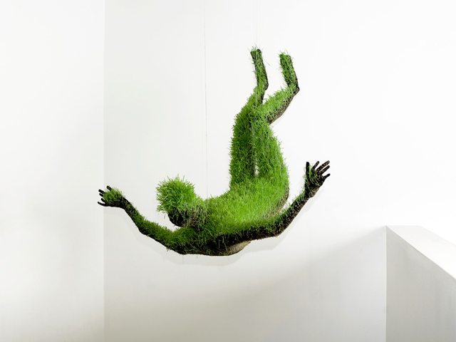 grass