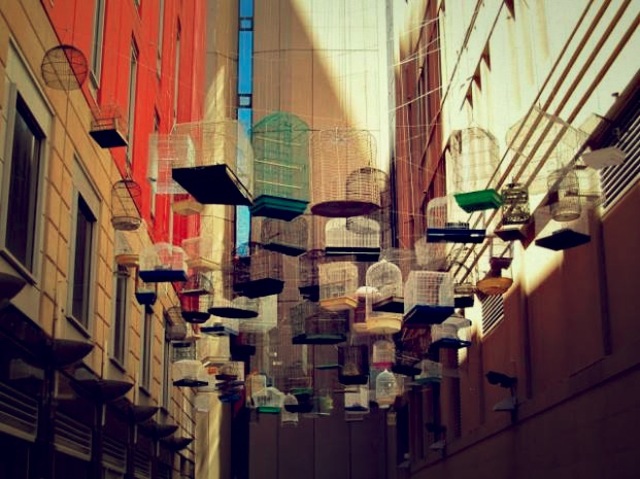Sydney Birdcage