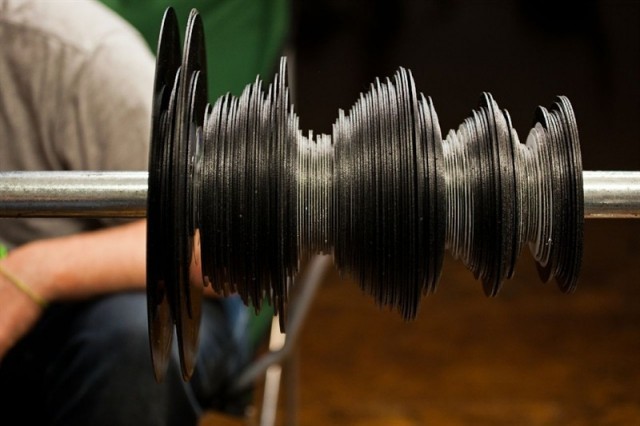 bengavid1-640x426