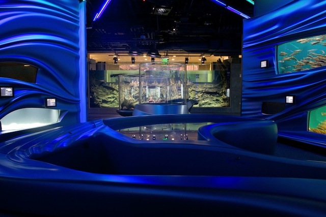 thincurbanaowaterplanet2