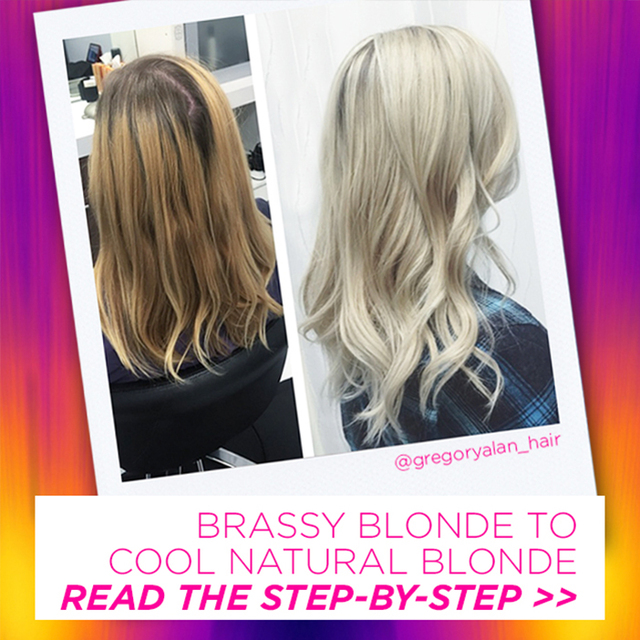 Re sized 0bdfe31ef85965003002 702x702 brassy blonde to cool natural blonde