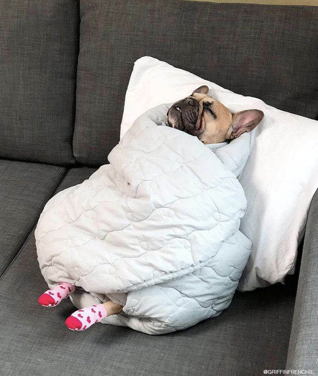 Re sized 0d6b7a6b866224c8ed16 sleep