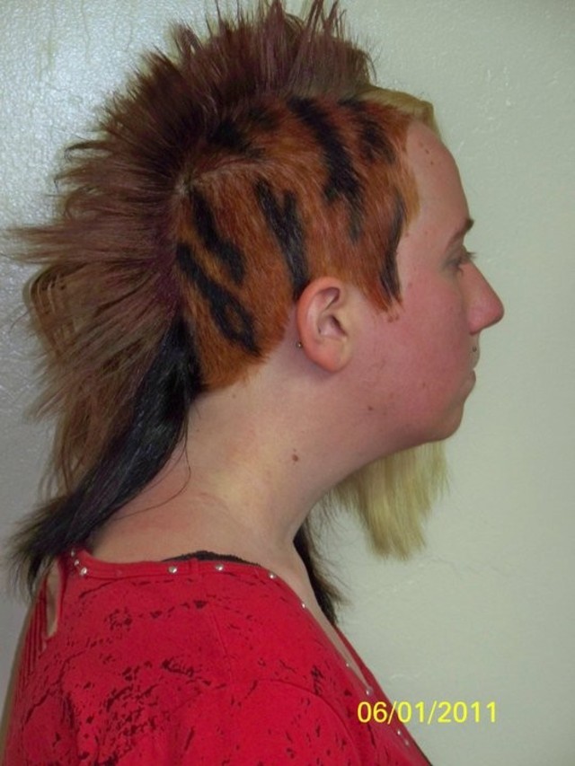 Tiger Stripes