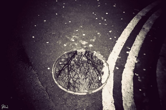 gavinhammondlondoninpuddles3