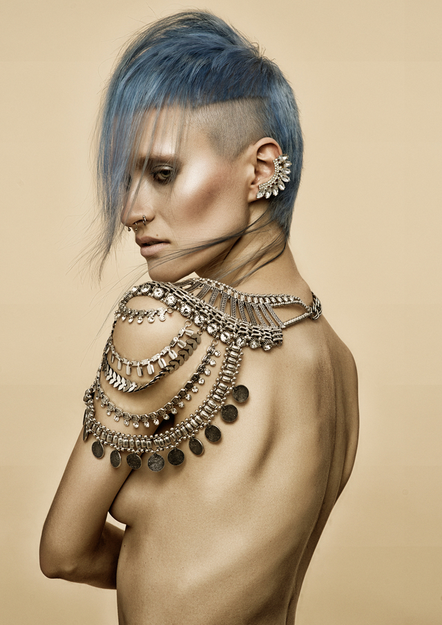 2017 NAHA Master Stylist of the Year Finalist 