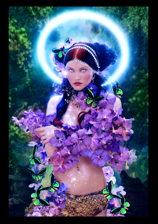 AVANT GARDE COLLECTION 