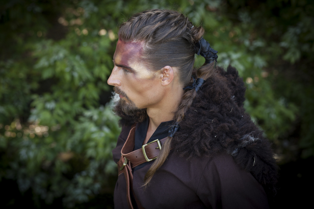 vikingbraids 'sweyn'