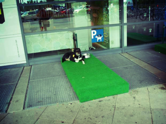 Ikea outside dog area