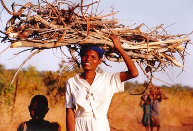 Rape-In-Zimbabwe-Dog-Eat-Dog-4