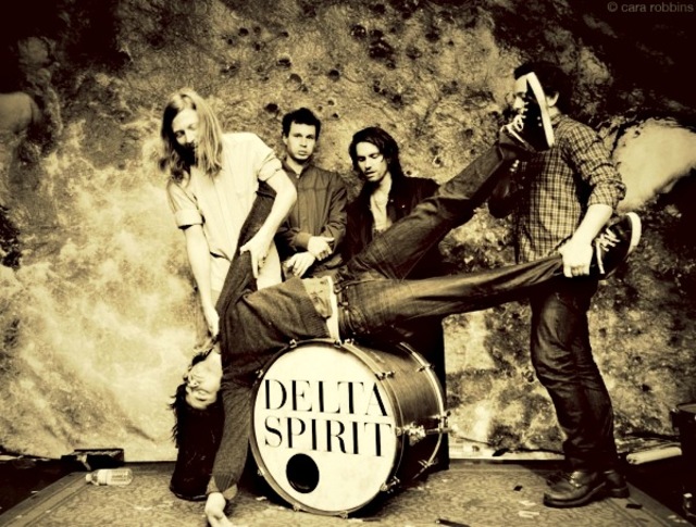 Delta Spirit Black IPA