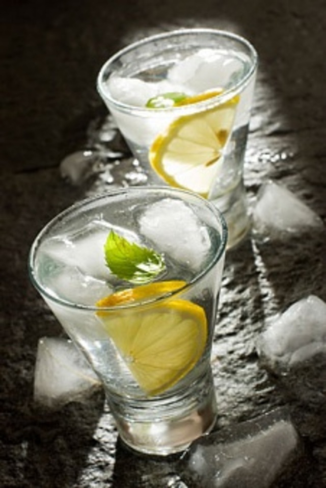1201-gin-and-tonic_li