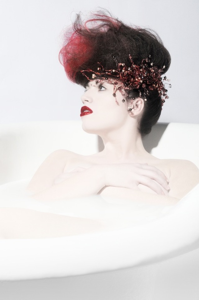 Oiseau Salon - Creative I