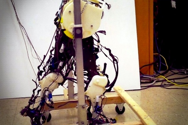 robot human walking