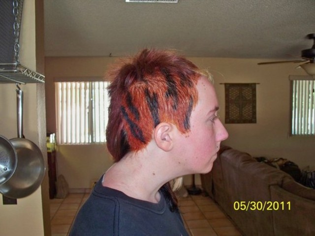 Tiger Stripes