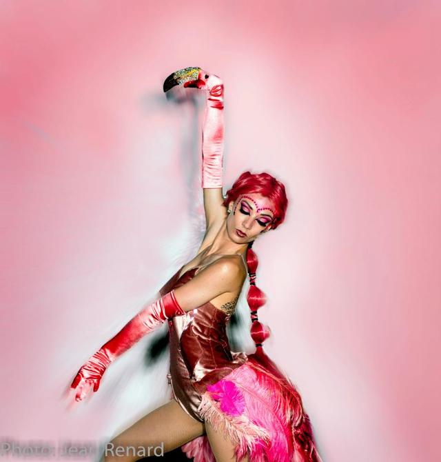 Flamingo
