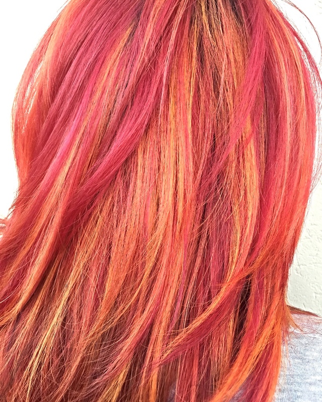 Unicorn Tribe 