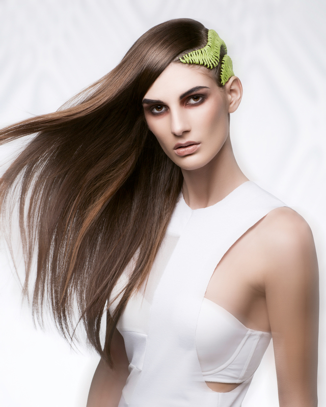 2017 NAHA Master Stylist of the Year Finalist 