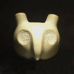 Re sized 1a05719be7ec5a1518e0 1508144 10153215944030856 1603842235196029417 n