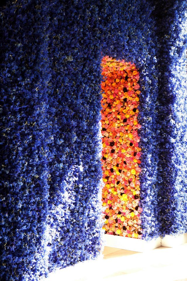 christiandiorrafsimons05