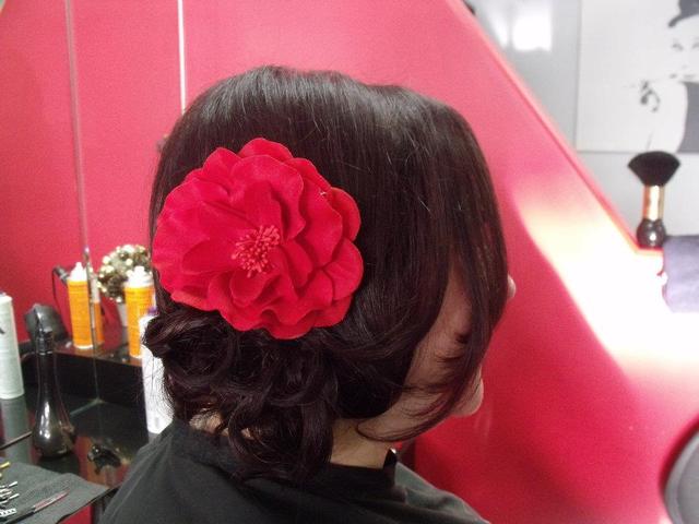 Hair Envy Creative Designs 