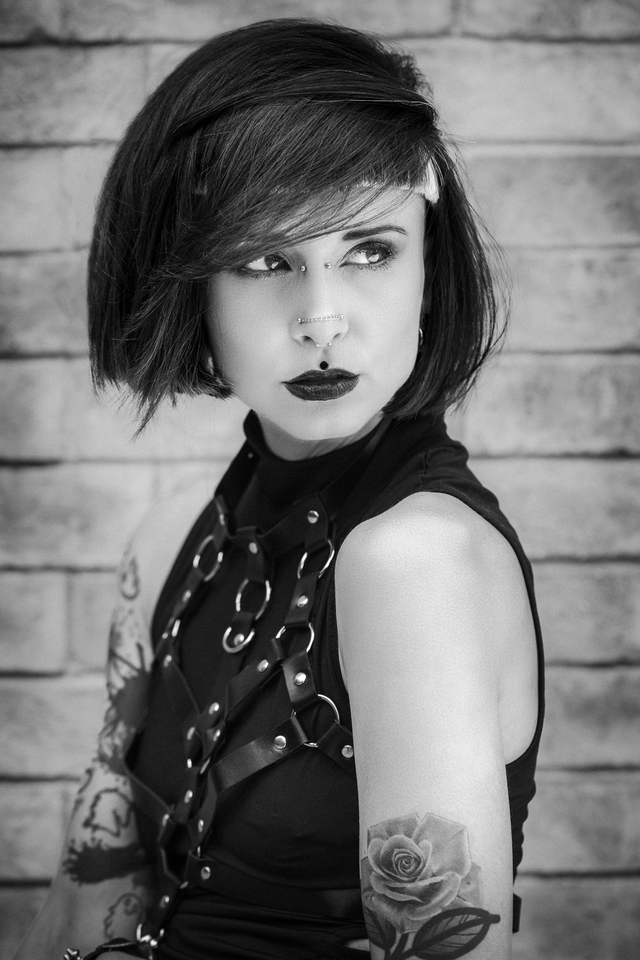 Gothic Punk Collection