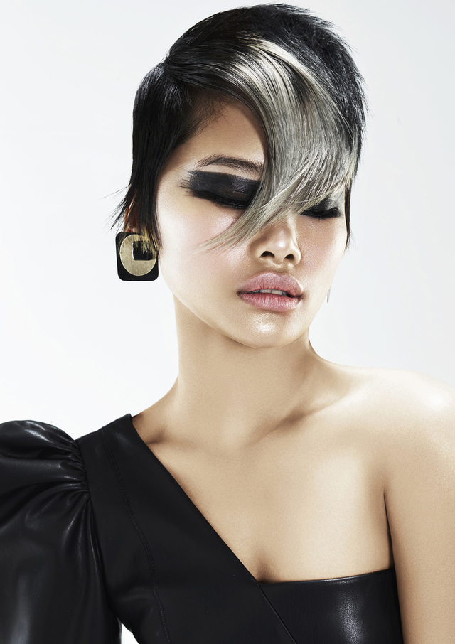 2017 NAHA Haircutting Finalist 