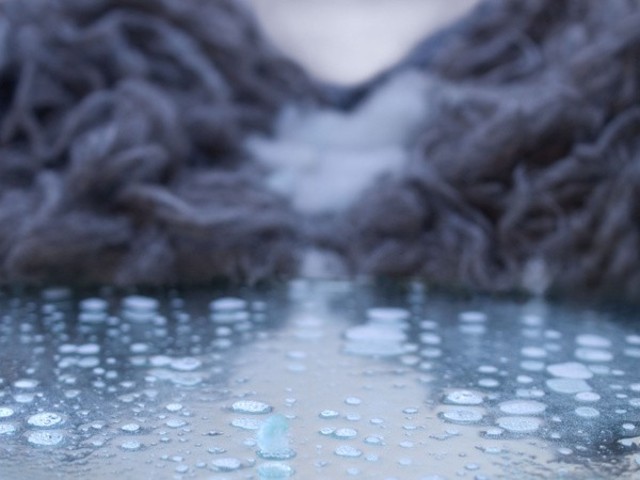 EszterBurghardt Wooly Sagas