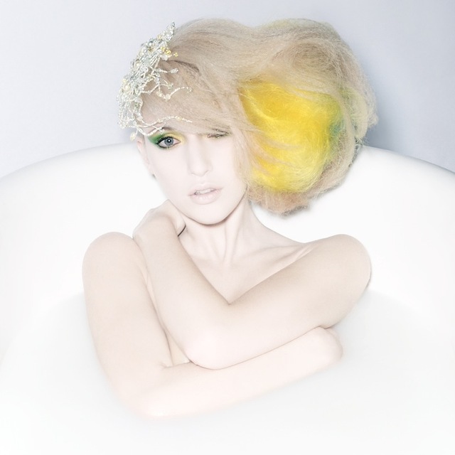 Oiseau Salon - Creative I